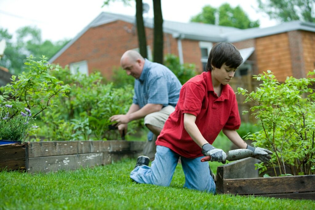 Father and Son gardening